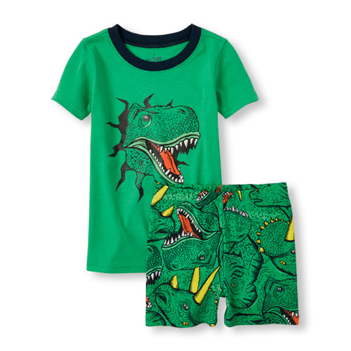 Boys Short Sleeve Dinosaur Graphic Top and Shorts PJ Set