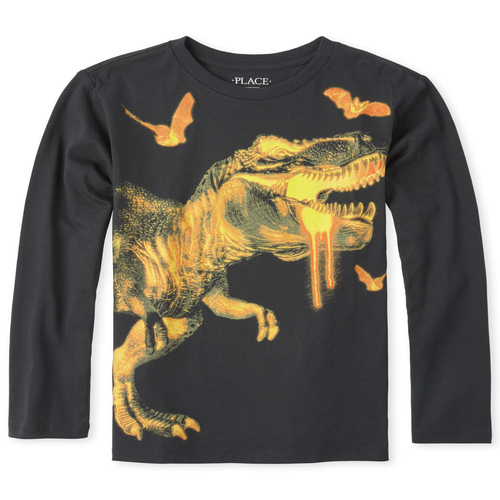 

s Boys Halloween Dino Graphic Tee - Gray T-Shirt - The Children's Place