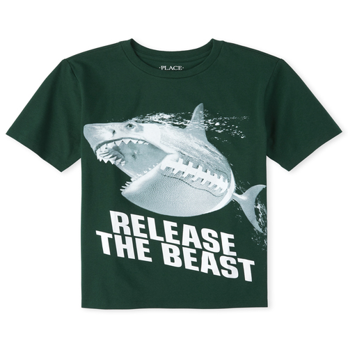 Boys T Shirts The Childrens Place Free Shipping - 